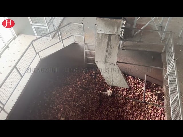 CHINA SS que limpian el almidón de patata dulce que hace la máquina 25t/H 18.5kw para la venta