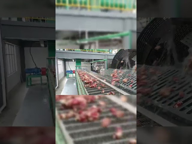 CHINA Máquina para hacer almidón de yuca de acero inoxidable Máquina de limpieza de paletas para la venta