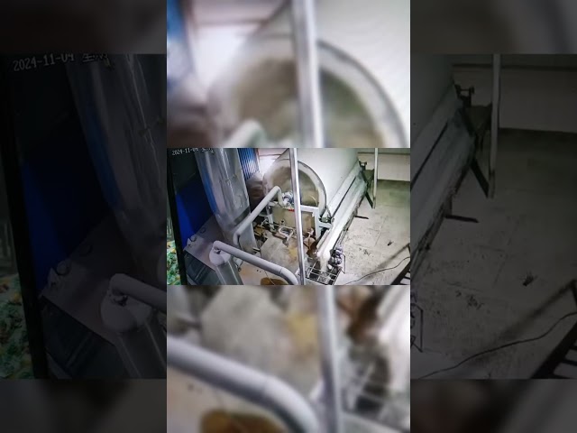 CHINA el lavarse de limpieza de la patata dulce 30Kw haciendo equipo la lavadora rotatoria para la venta