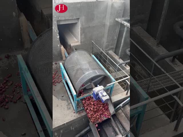 CHINA Control PLC Procesador de almidón de patata dulce que proporciona limpieza molienda procesamiento de embalaje Tipo para aplicaciones industriales para la venta