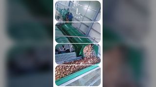 Cadena de producción de almidón de yuca personalizada, equipo de filtro de vacío de almidón de yuca